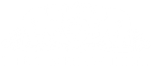 The Times Of India